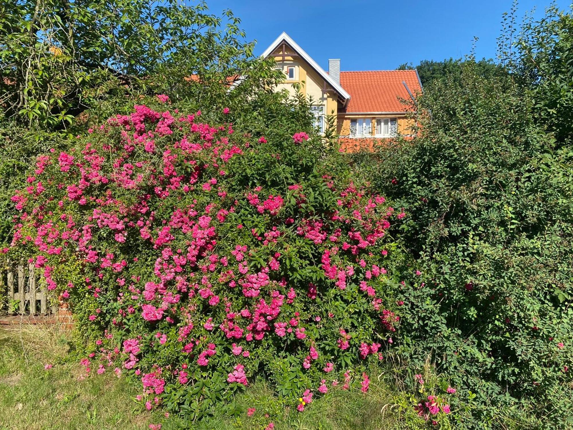 Hotel Fuchsbau Walsrode Esterno foto